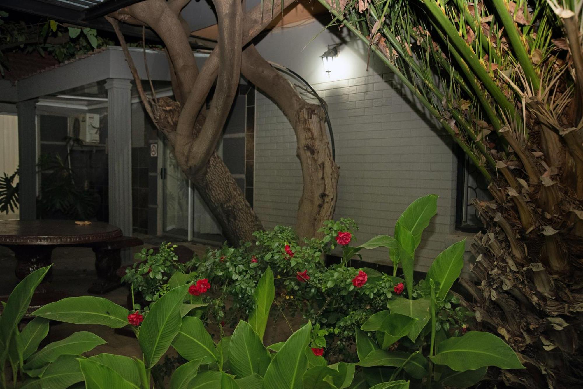 Gold Guest & Conference Bed and Breakfast Welkom Buitenkant foto